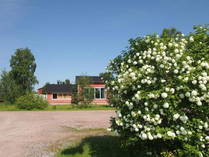 B&B Villa Helmi Ala-Temmes Экстерьер фото